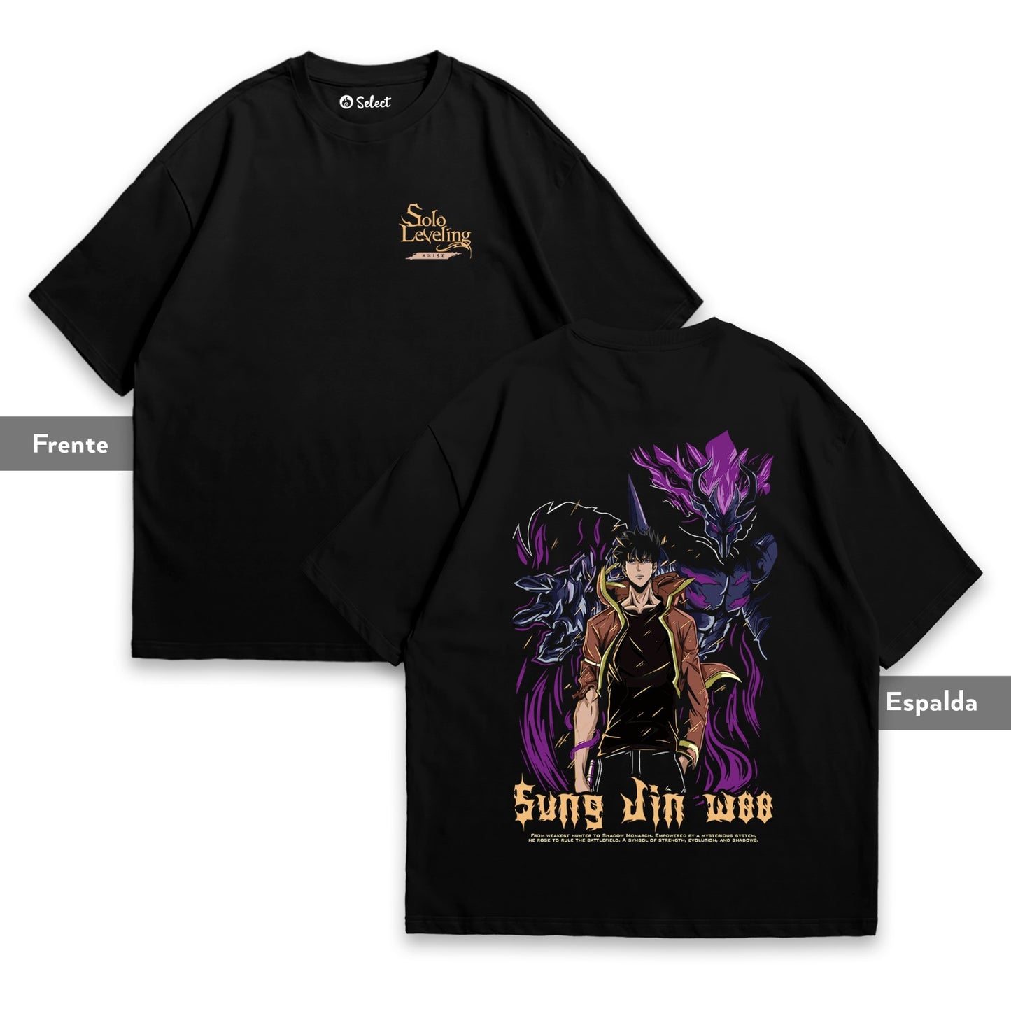 Camiseta Solo Levelin Ashborn